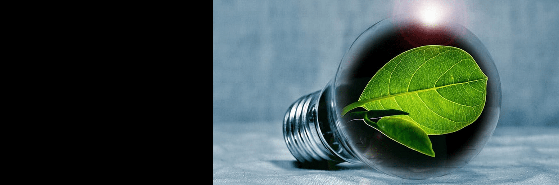 Greenheart industry reedit-ferdig